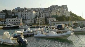 Un port de plaisance avec plusieurs bateaux amarrés, un ciel dégagé et des bâtiments en arrière-plan.