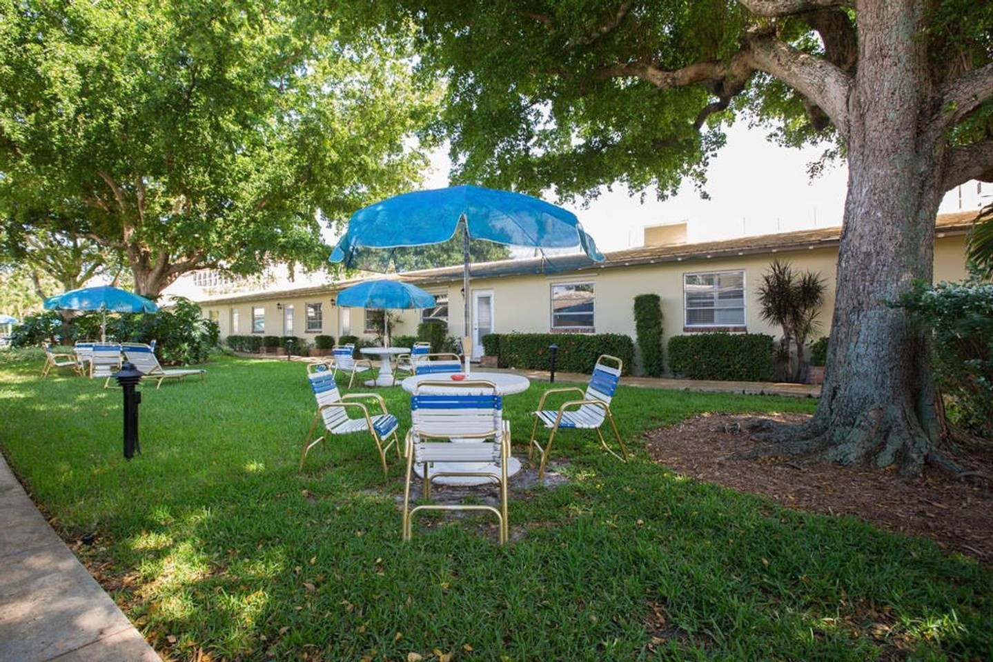 An outdoor seating area with tables and chairs under blue umbrellas, surrounded by trees and a building in the background.
