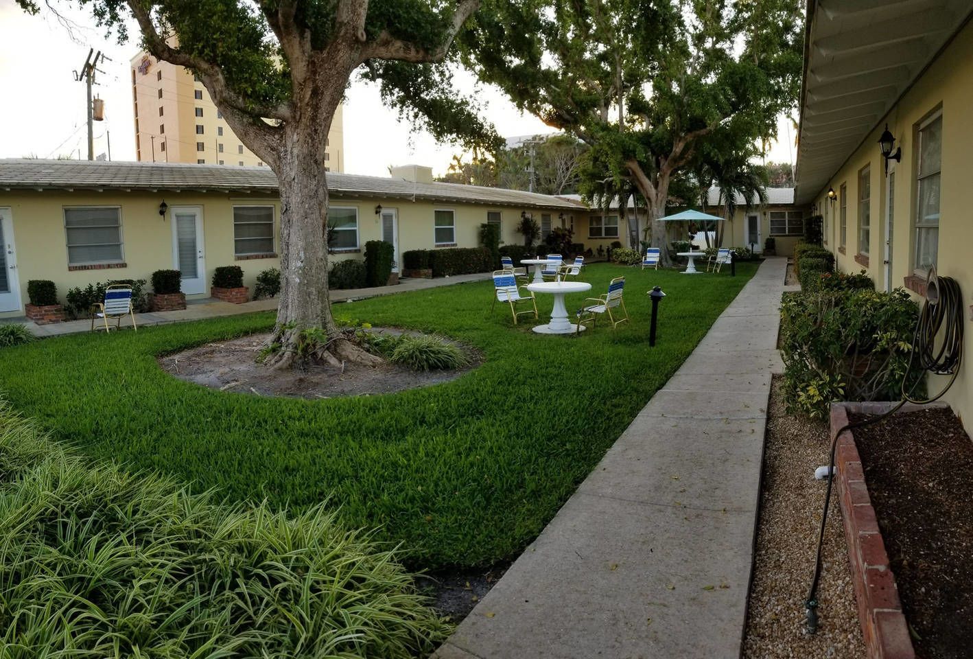 A courtyard with a tree, outdoor seating, and a building in the background.