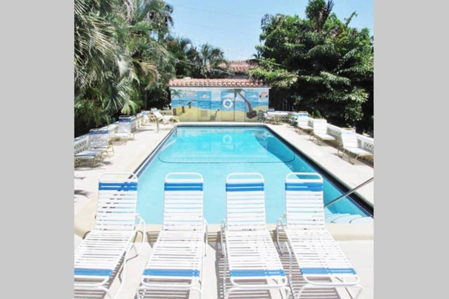 A swimming pool with lounge chairs and palm trees.