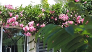 Un patio con mobiliario exterior, plantas en macetas y un cerramiento de vidrio.