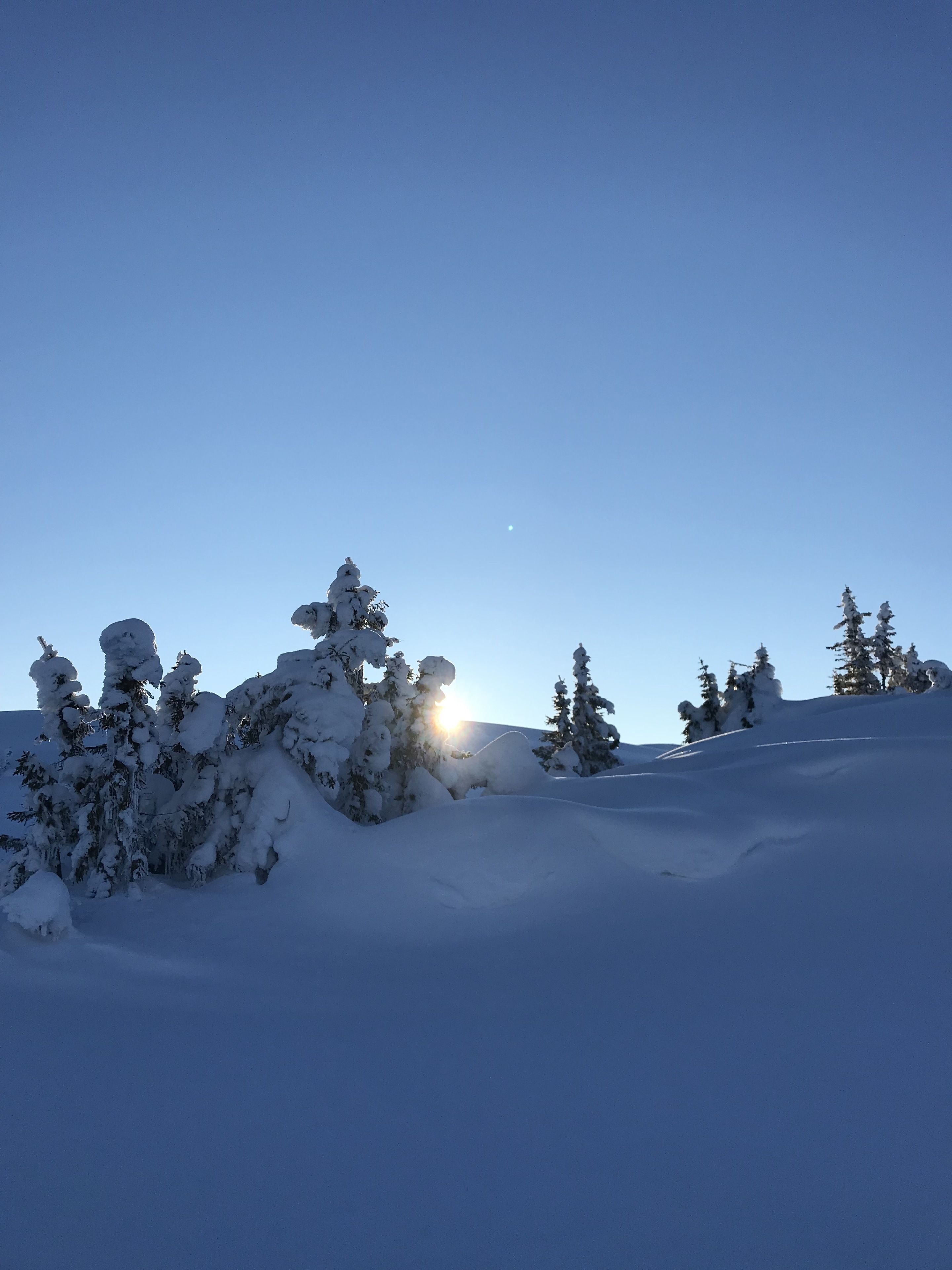 Foto - The Apartments Company - The Sweet