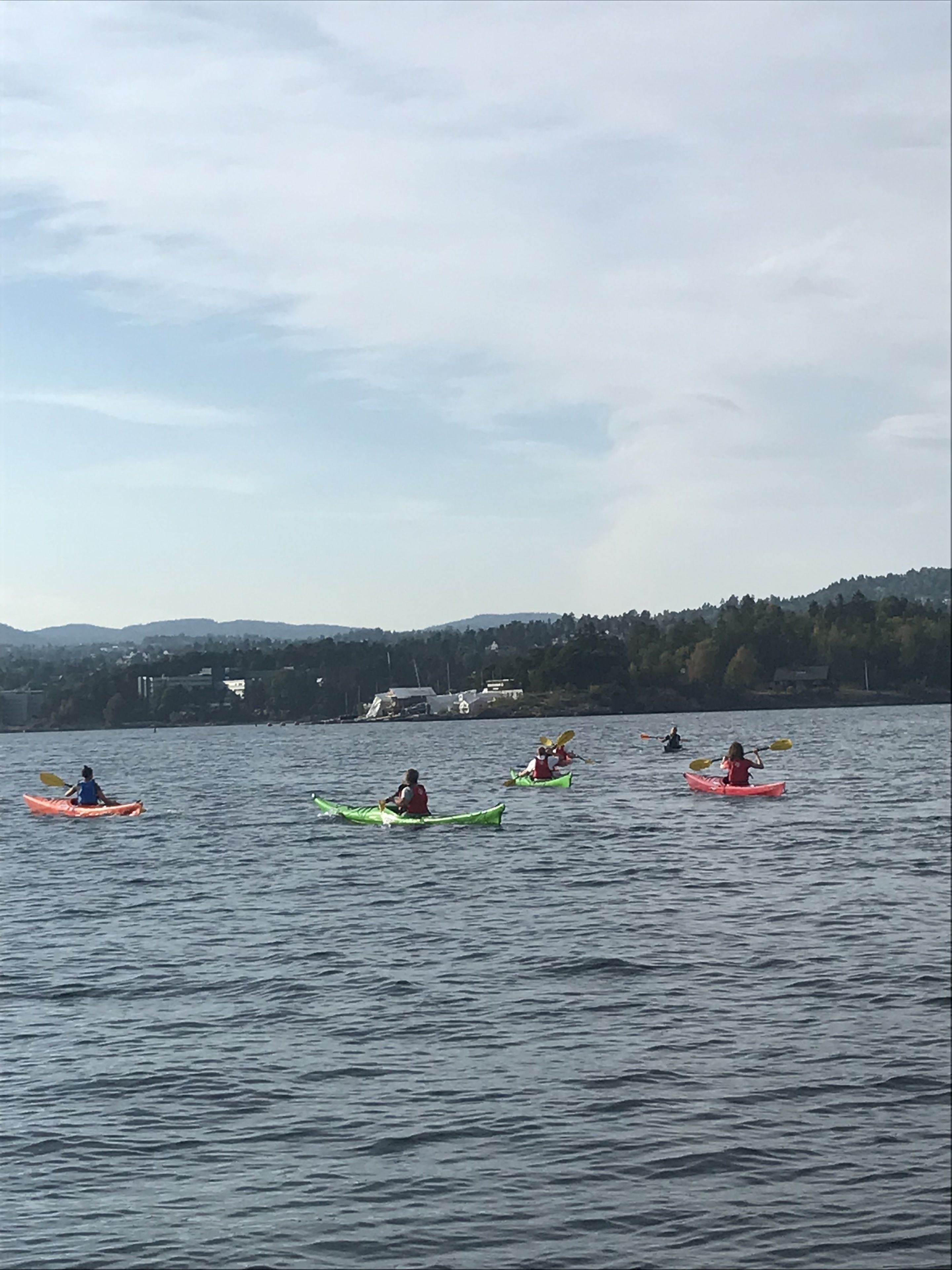 Foto - The Apartments Company - The Sweet