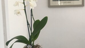2 bedrooms, premium bedding, Select Comfort beds, desk - Maison Ladevèze (Saint-Galmier)