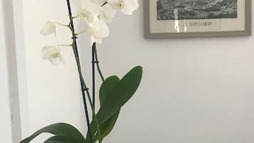 2 kamar tidur, seprai premium, dan tempat tidur Select Comfort