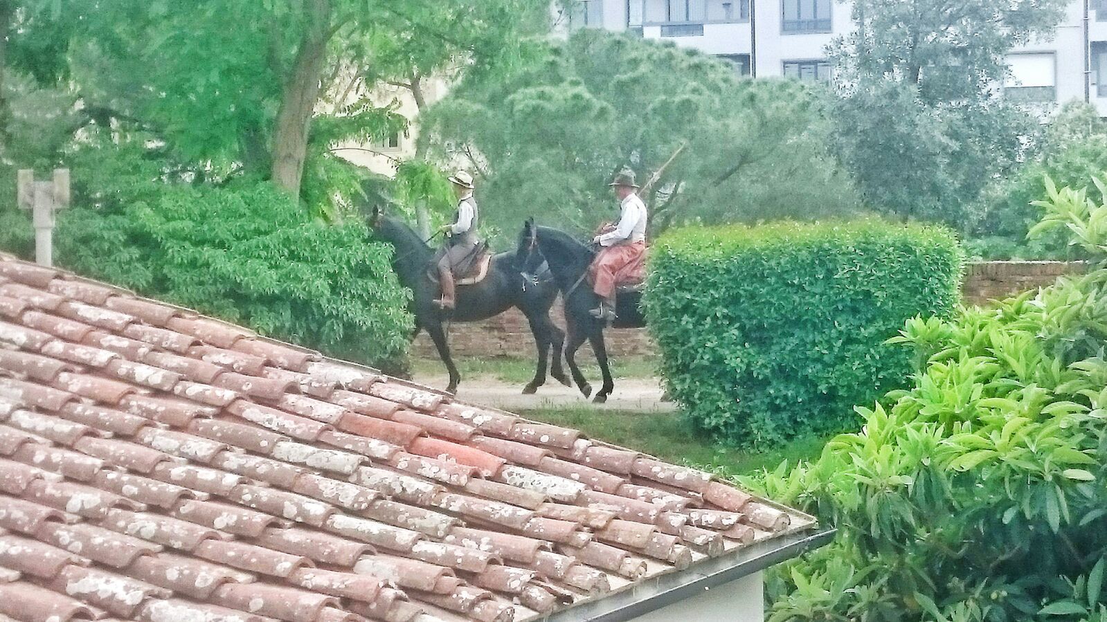 Property amenity