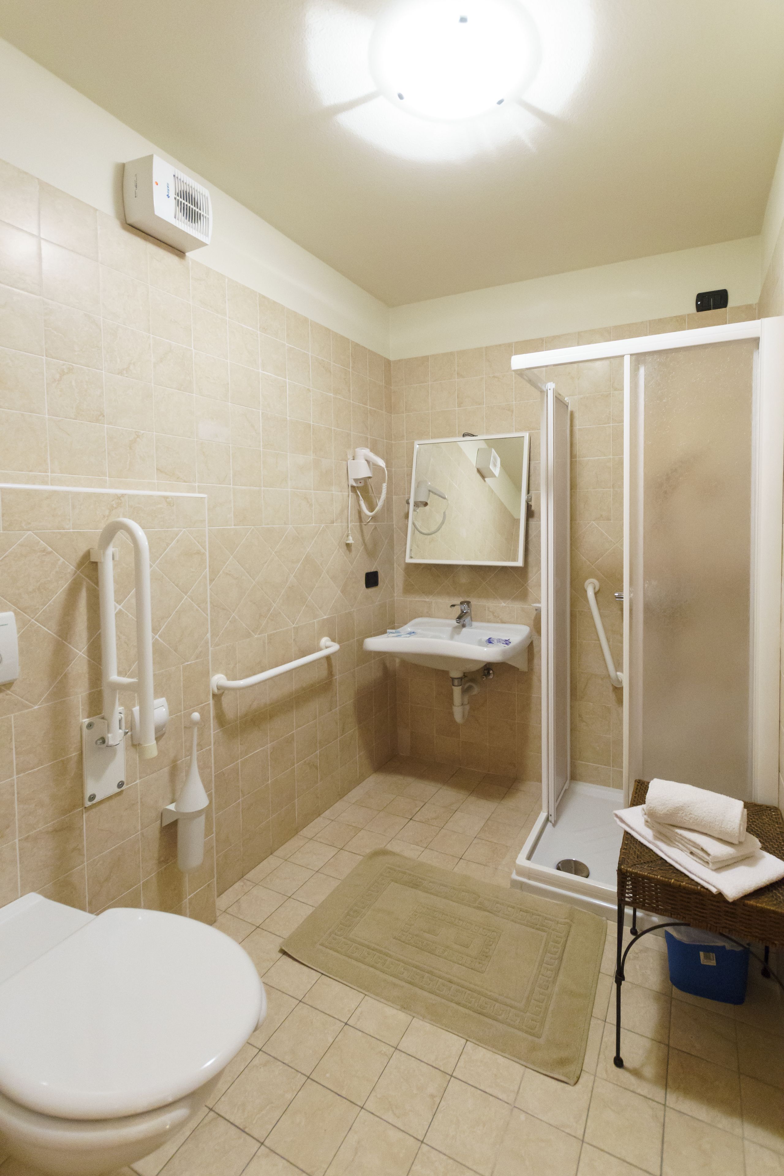 A bathroom with a toilet, sink, shower, and handrails.