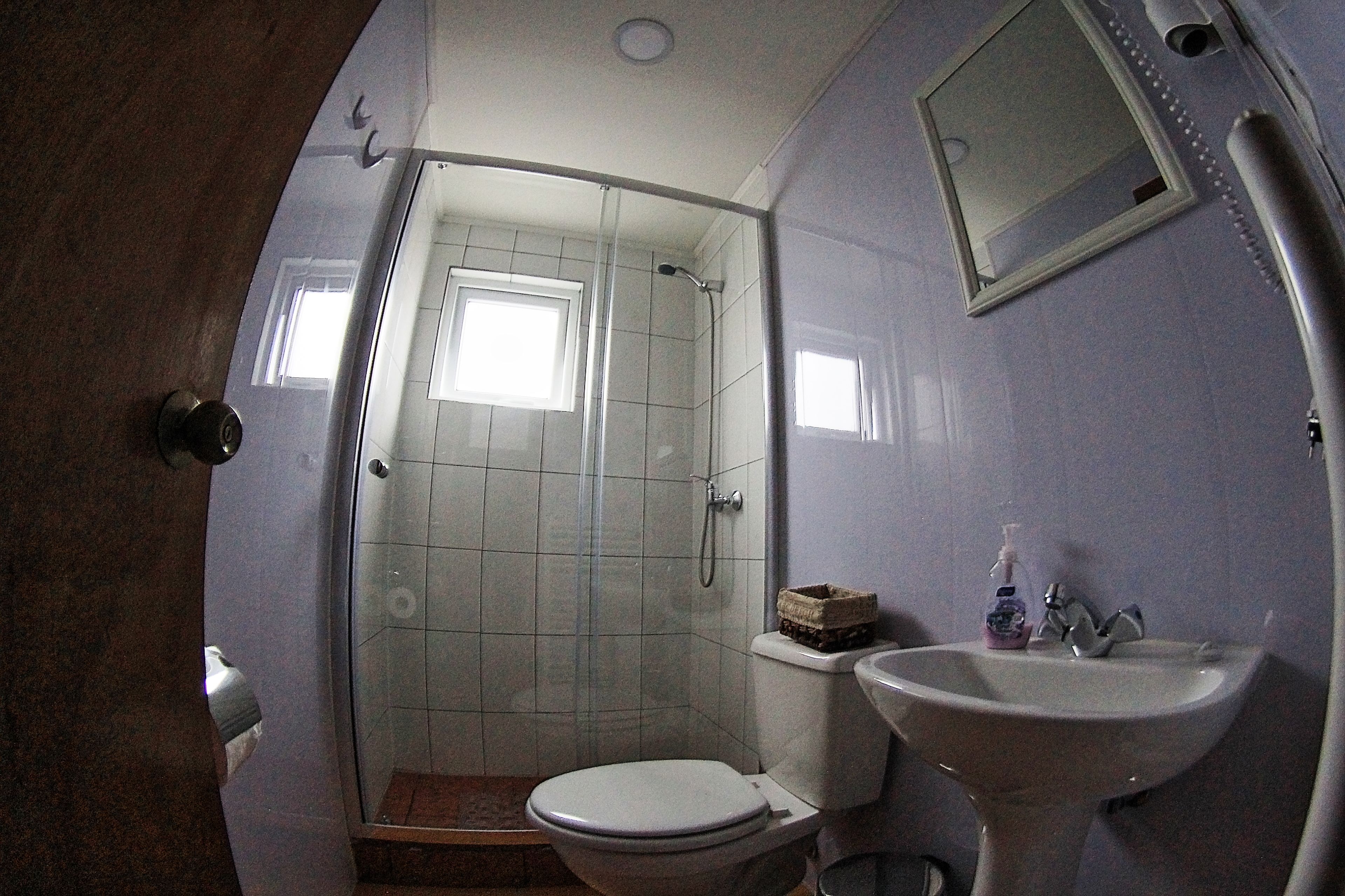 A bathroom with a shower, toilet, sink, and a mirror.