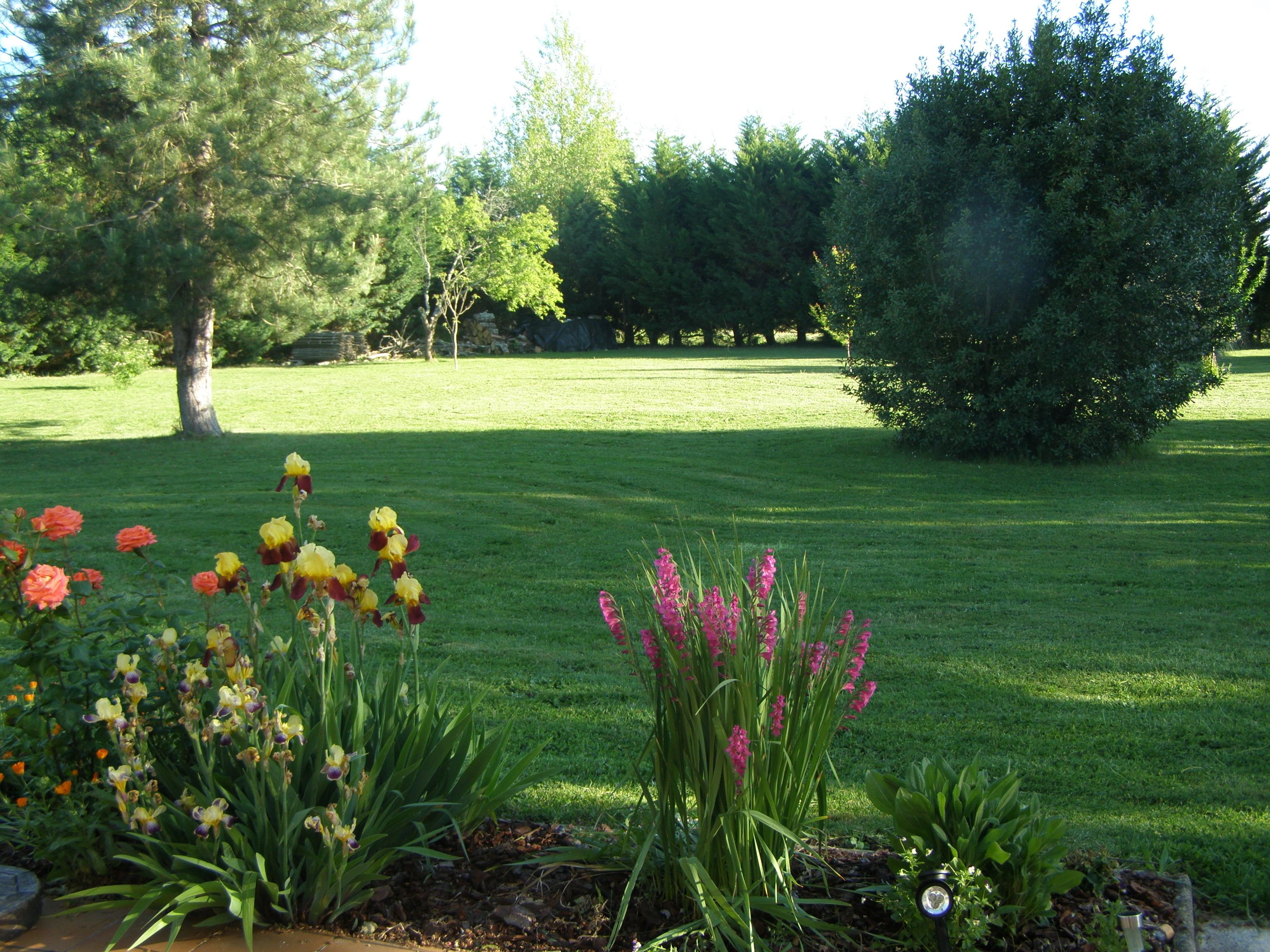A well-maintained garden with various flowers and a neatly trimmed lawn.