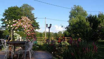 Vista desde la habitación