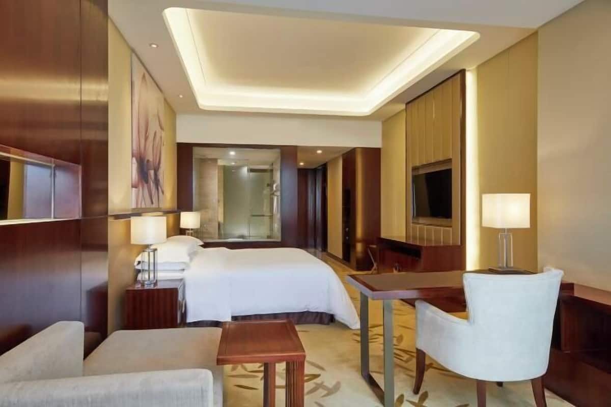 Premium bedding, down duvets, pillow-top beds, minibar