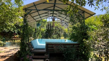 Vườn