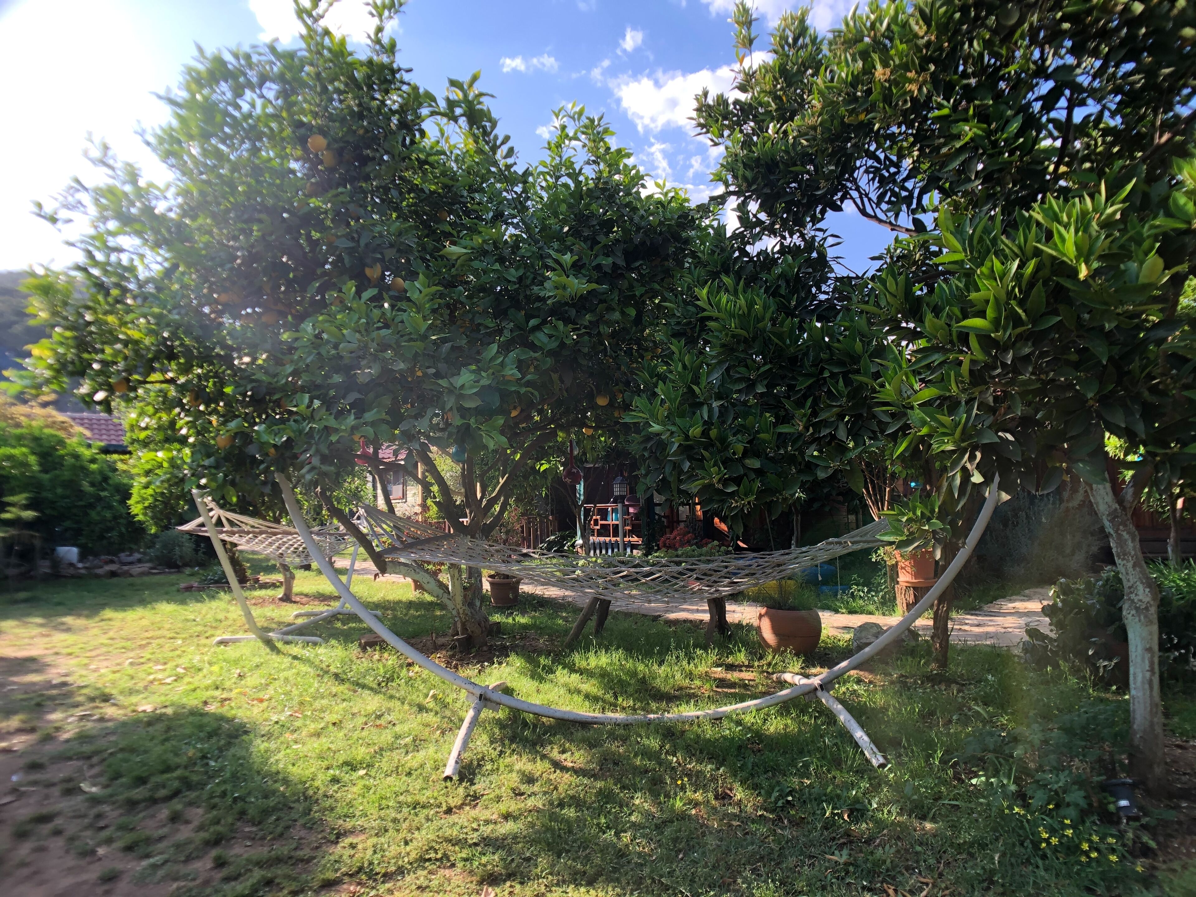 Jardín