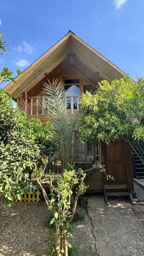 Decoración personalizada y espacio para trabajar con laptop 