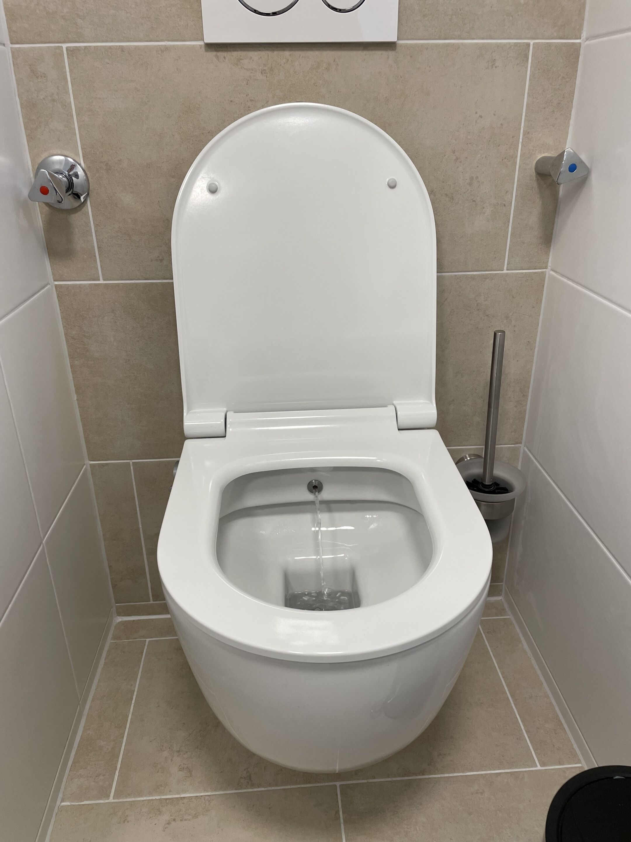 Inodoro blanco estándar con la tapa cerrada, un botón de descarga y un desatascador al lado derecho.