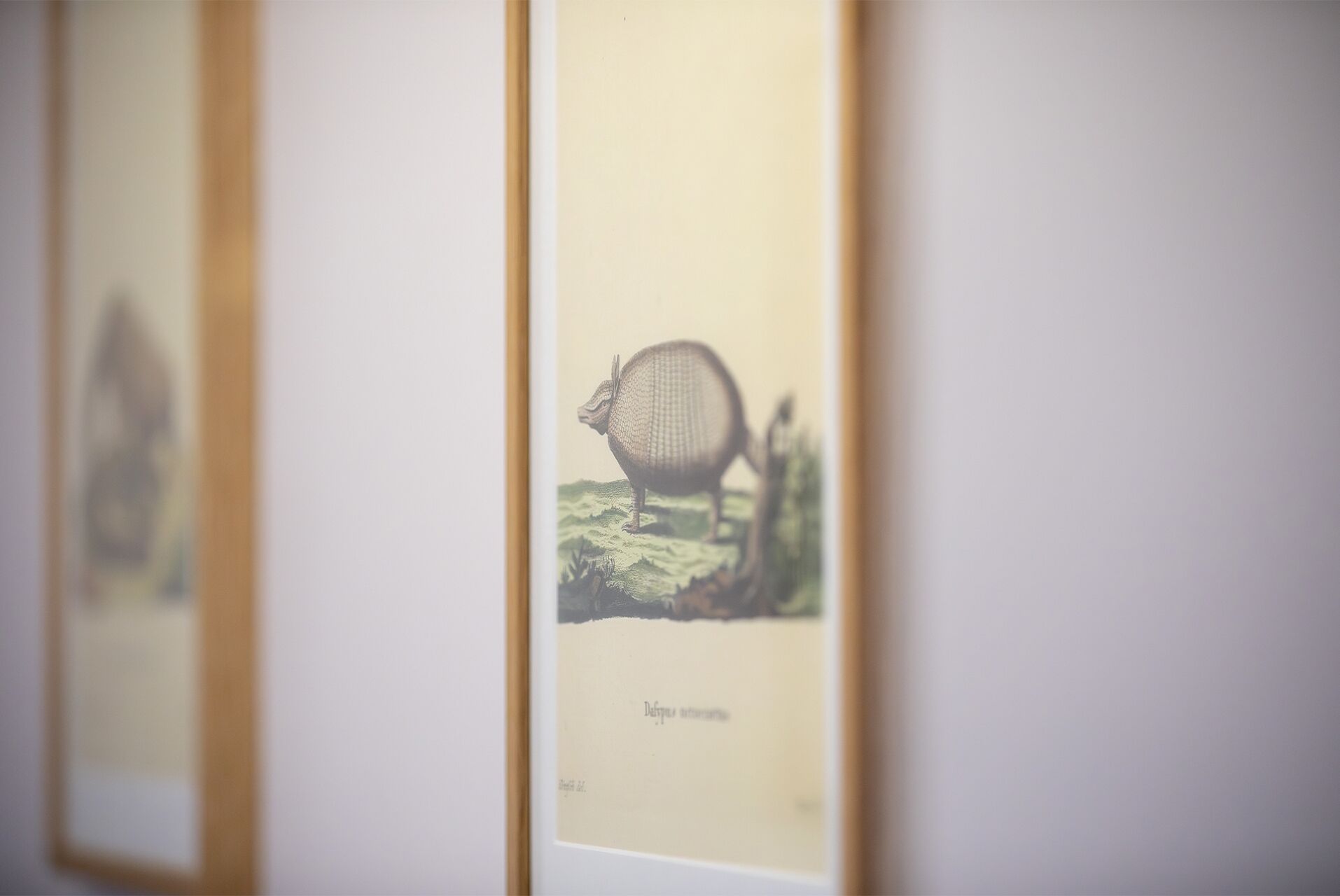 chambre quintuple | individually decorated, individually furnished, blackout curtains