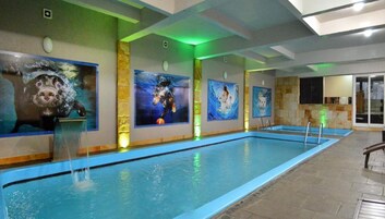 Un'ampia piscina coperta con diverse corsie, circondata da pareti decorate con vari murales a tema animale.