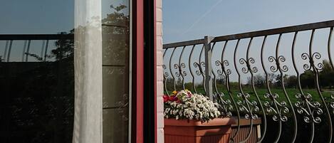 A balcony with a potted plant and a metal railing.