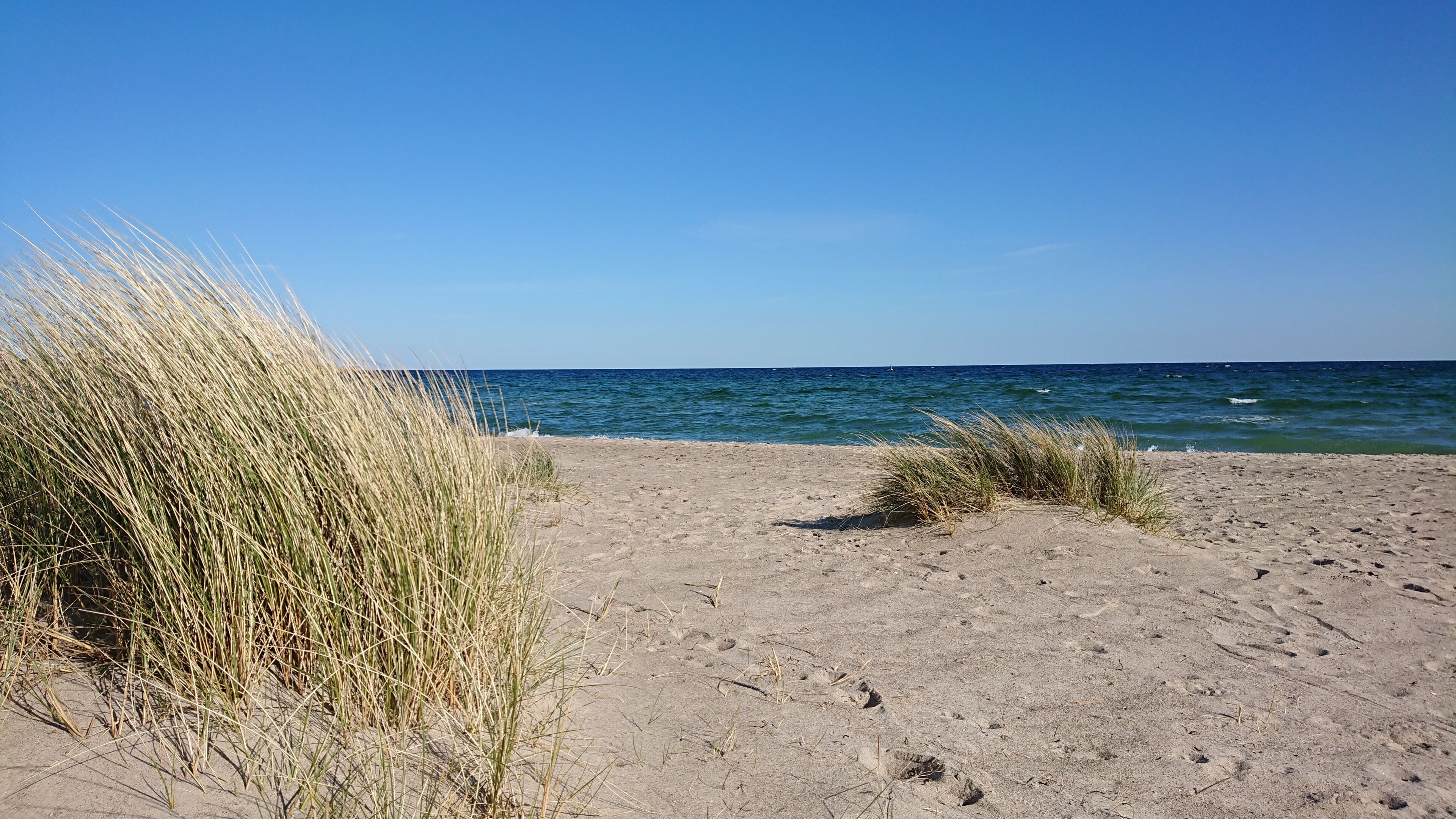 In Strandnähe