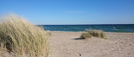 Tæt på stranden