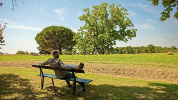 A person sitting on a bench in a park with a tree and open fields in the background.