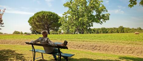 A person sitting on a bench in a park with a tree and open fields in the background.