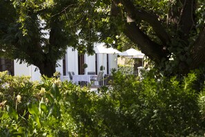 Kawasan BBQ/berkelah