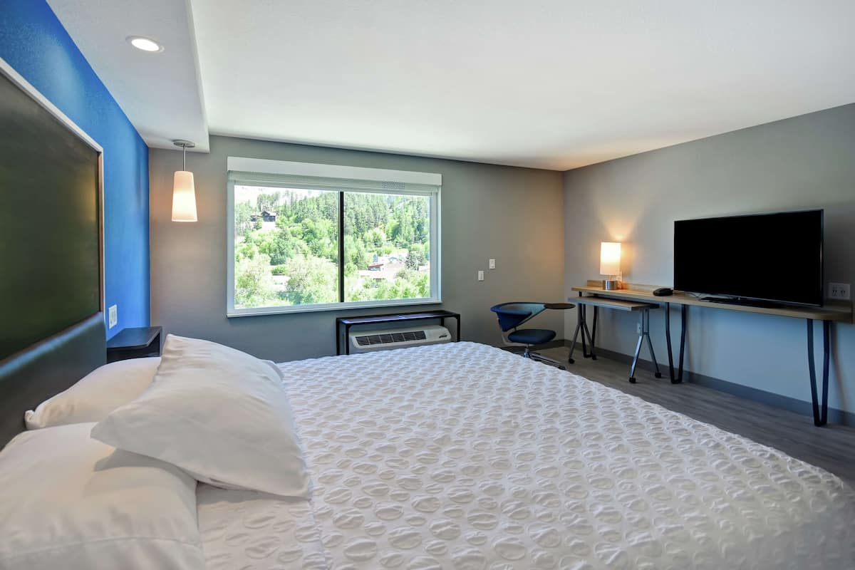 Hotelkamer met een groot bed, een bureau, een stoel, een flatscreen-tv en een raam met uitzicht op groen.