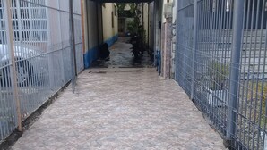 Entrada de un hostal con un sendero empedrado que conduce a una zona vallada.