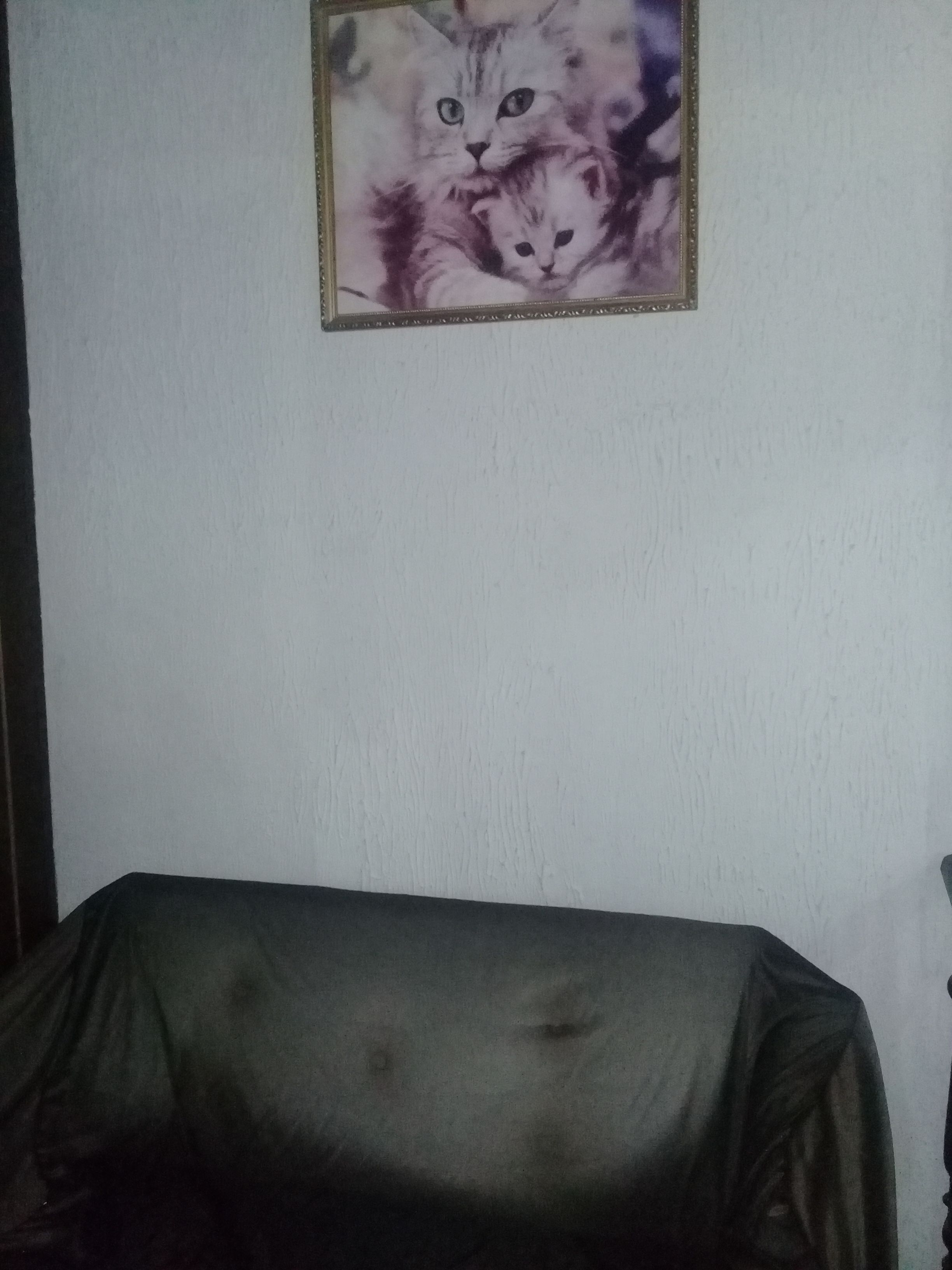 Uitzicht vanuit de kamer