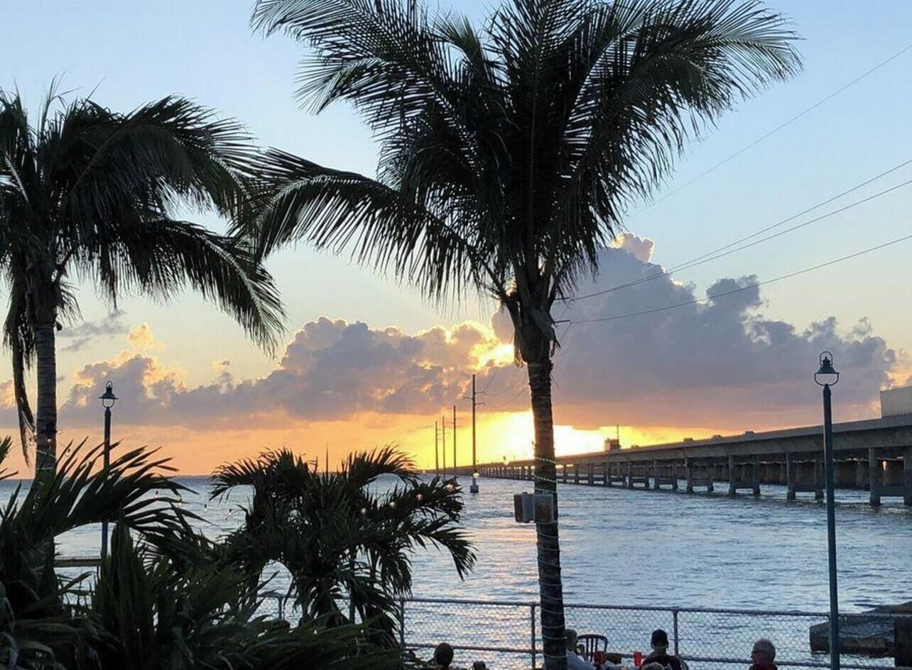A sunset view with palm trees and a pier extending into the water.
