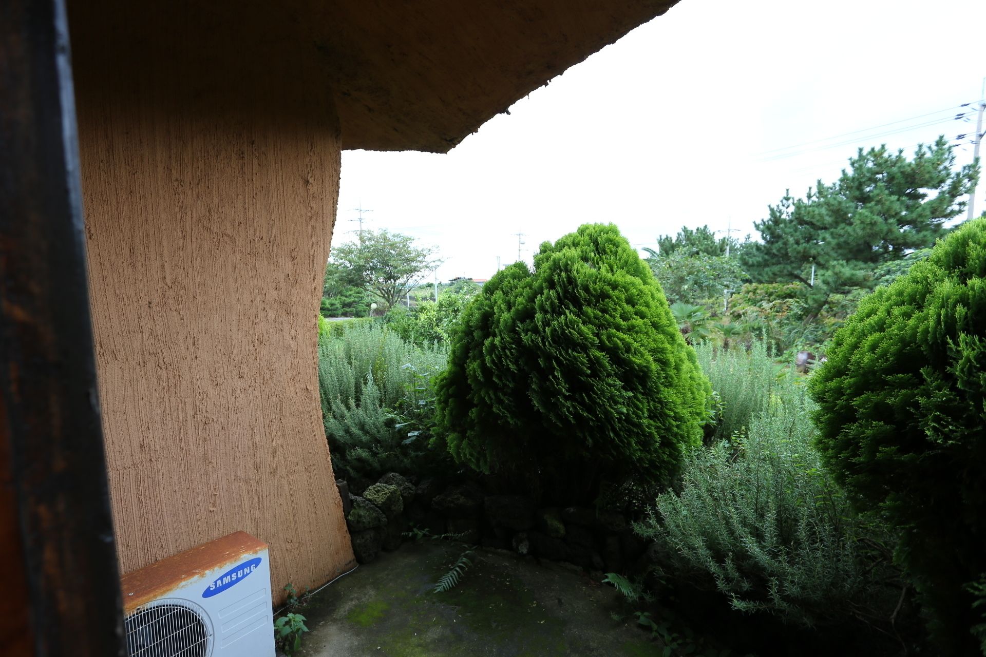 Vista de un jardín con diversas plantas y un aire acondicionado Samsung visible.