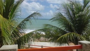 Vista de una playa con palmeras y cielo despejado.