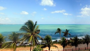 Una playa con palmeras y una vista despejada del océano.