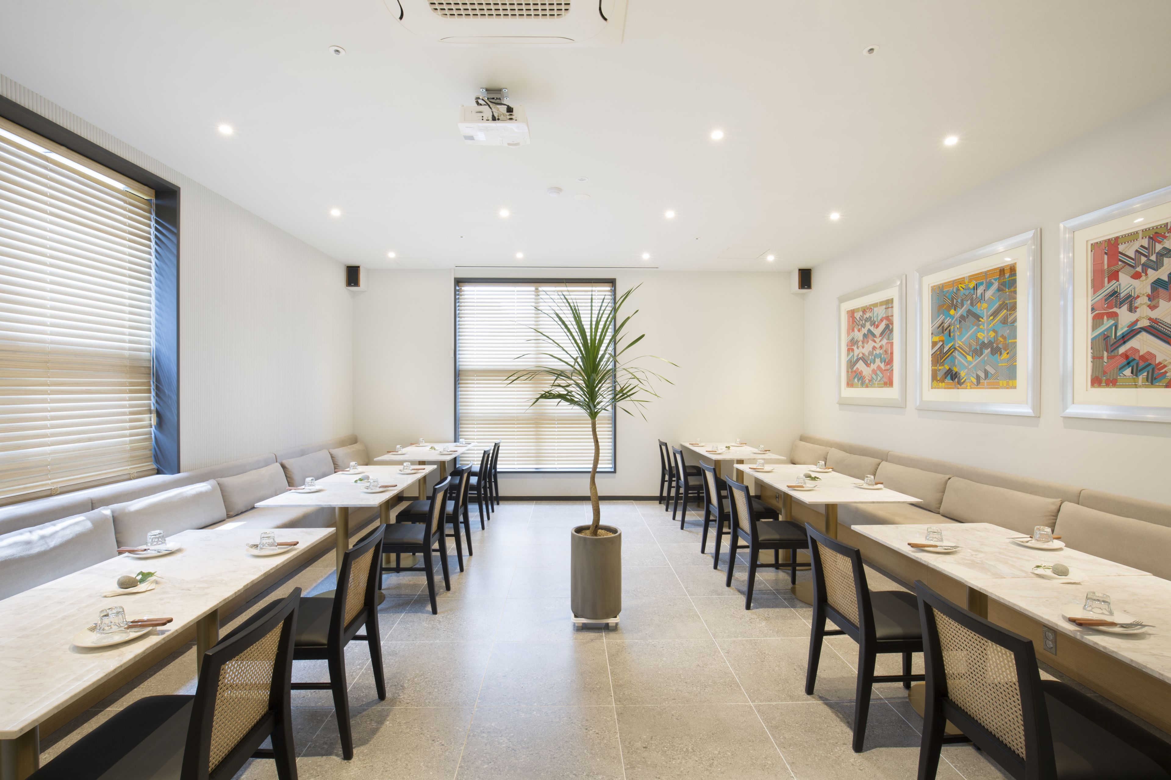 A conference room with long tables, chairs, and a central potted plant.