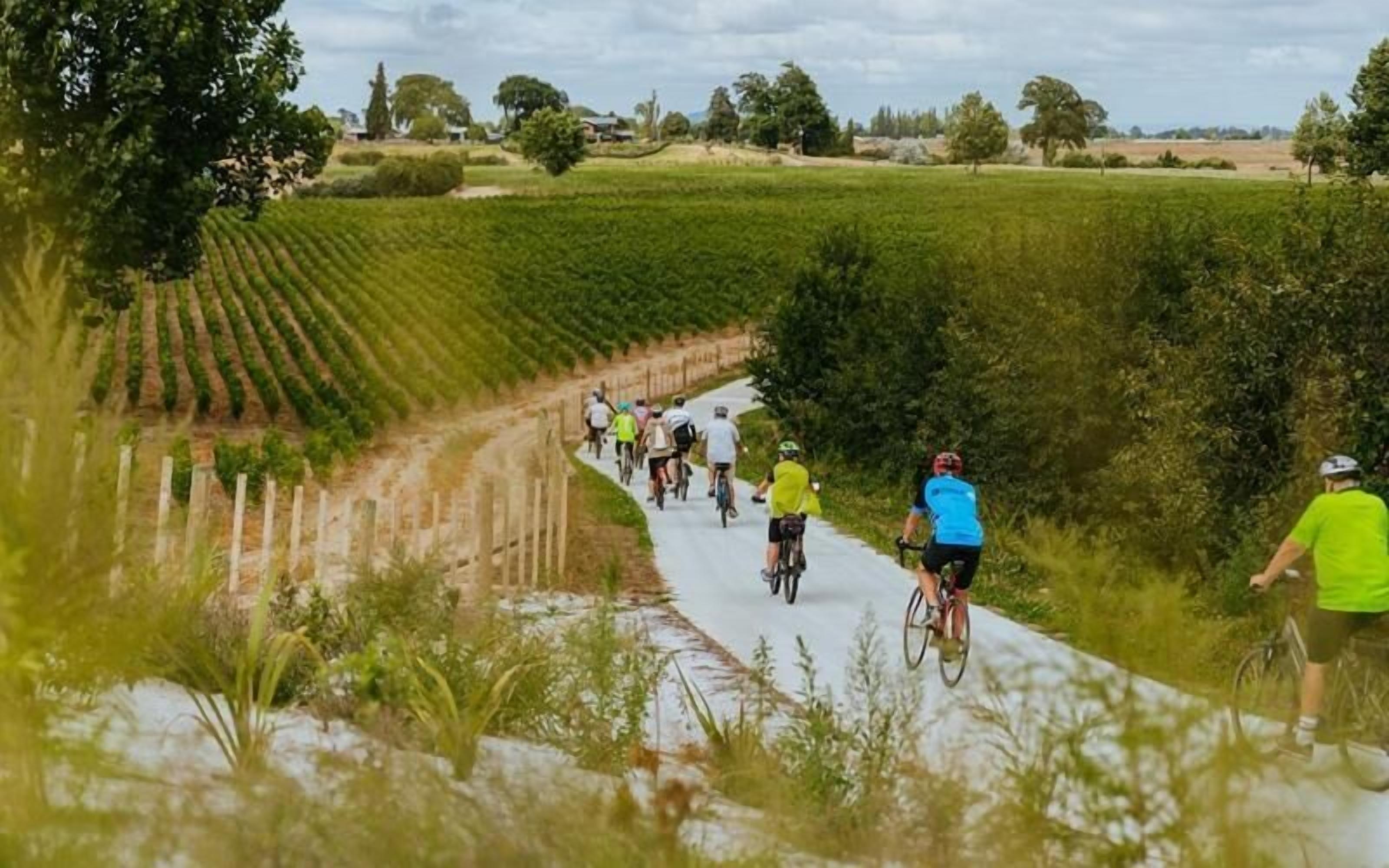 Un grupo de ciclistas en un camino pavimentado a través de una zona rural con campos y árboles.