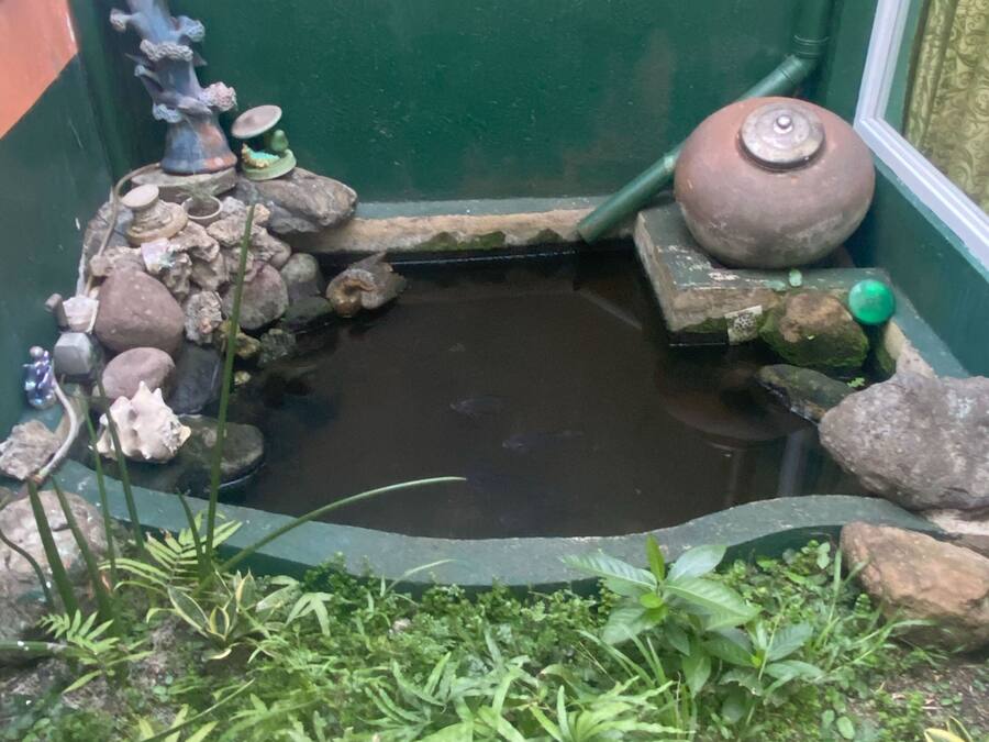 Un pequeño estanque con rocas, plantas, una bomba de agua y un adorno sobre un pedestal.
