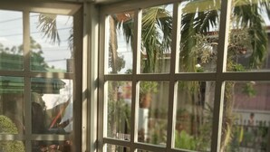 A room with a large window overlooking a garden with various plants and a view of the sky. - Villa 301 B&B (Baclayon)