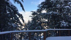 Een met sneeuw bedekt bos met een houten omheining.