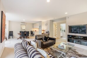 Smart TV, fireplace, books