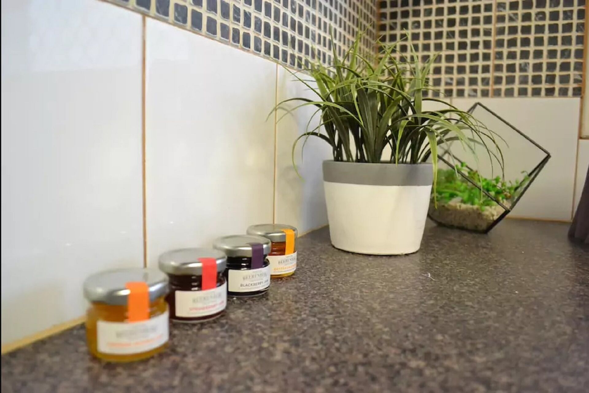 Home in Perth's Best Location (minutes from Beach) — image 6