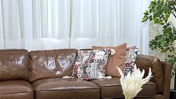 TV, caminetto, lettore DVD