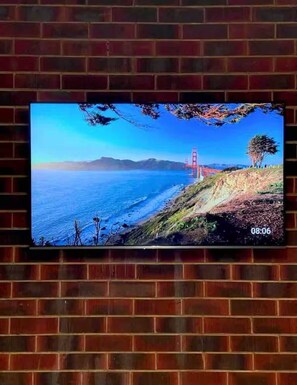 Television