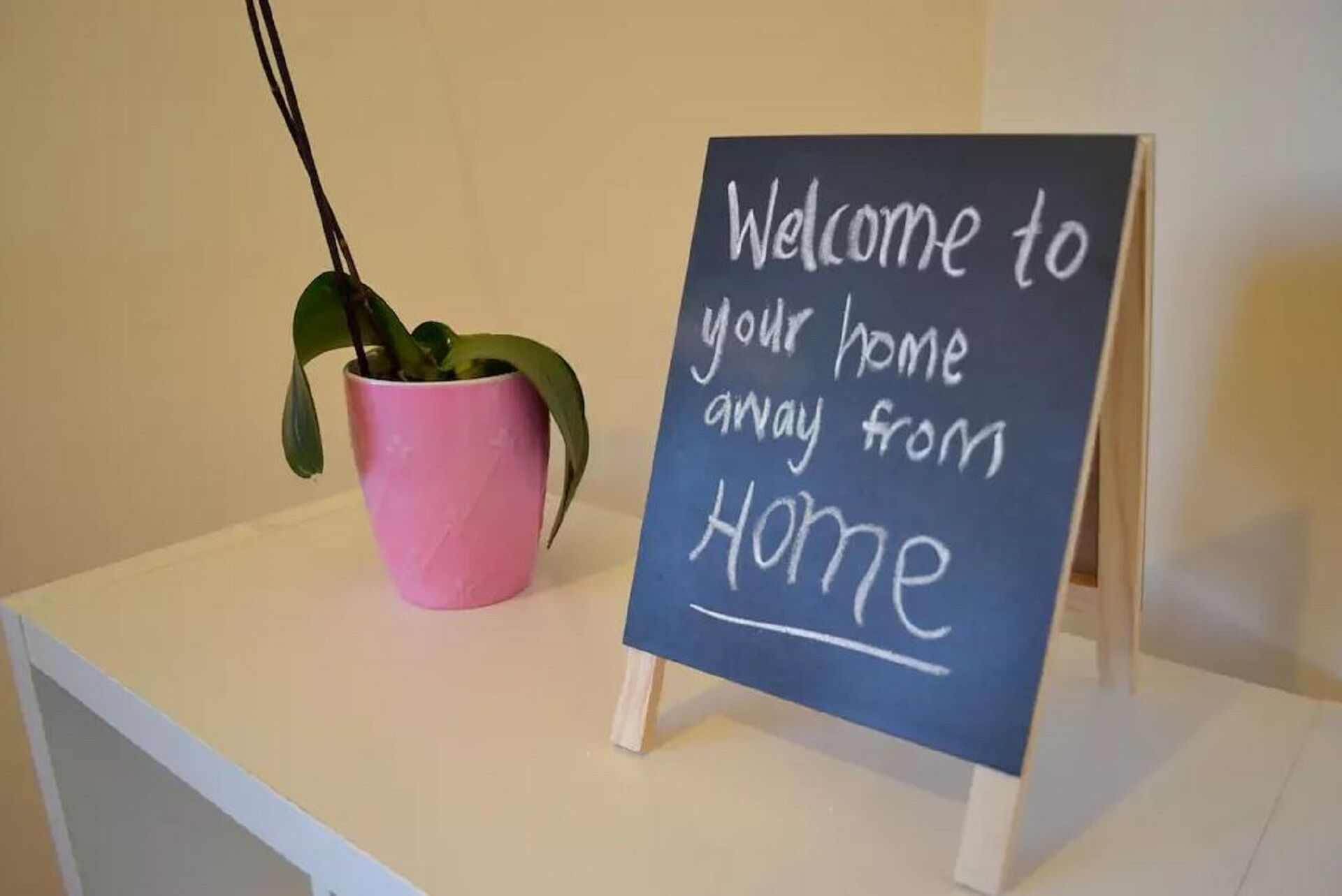 Home in Perth's Best Location (minutes from Beach) — image 11