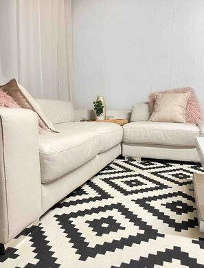 تلفزيون، مدفأة، مشغل دي في دي