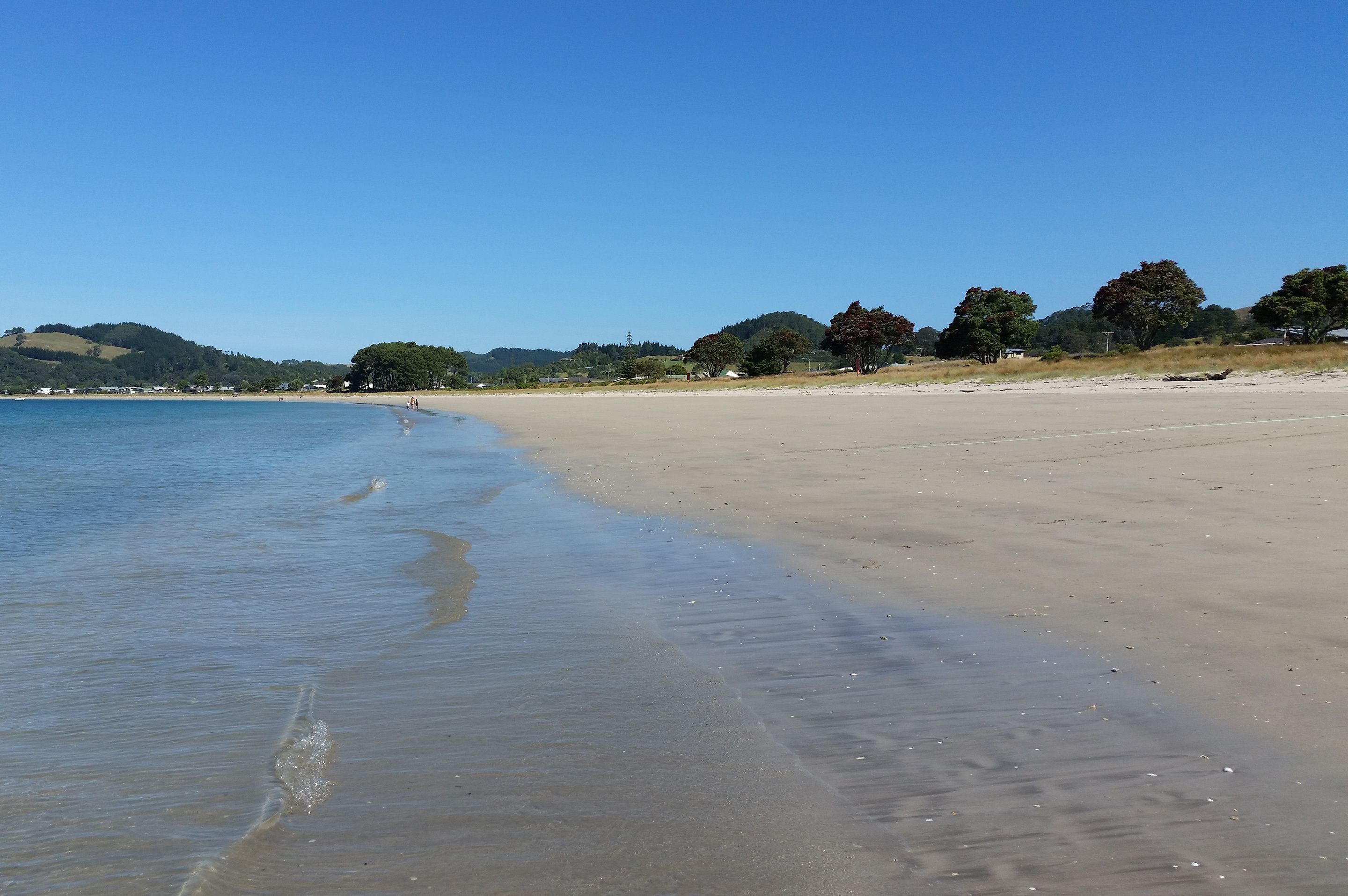 A beach with clear water, sandy shore, and trees in the background.