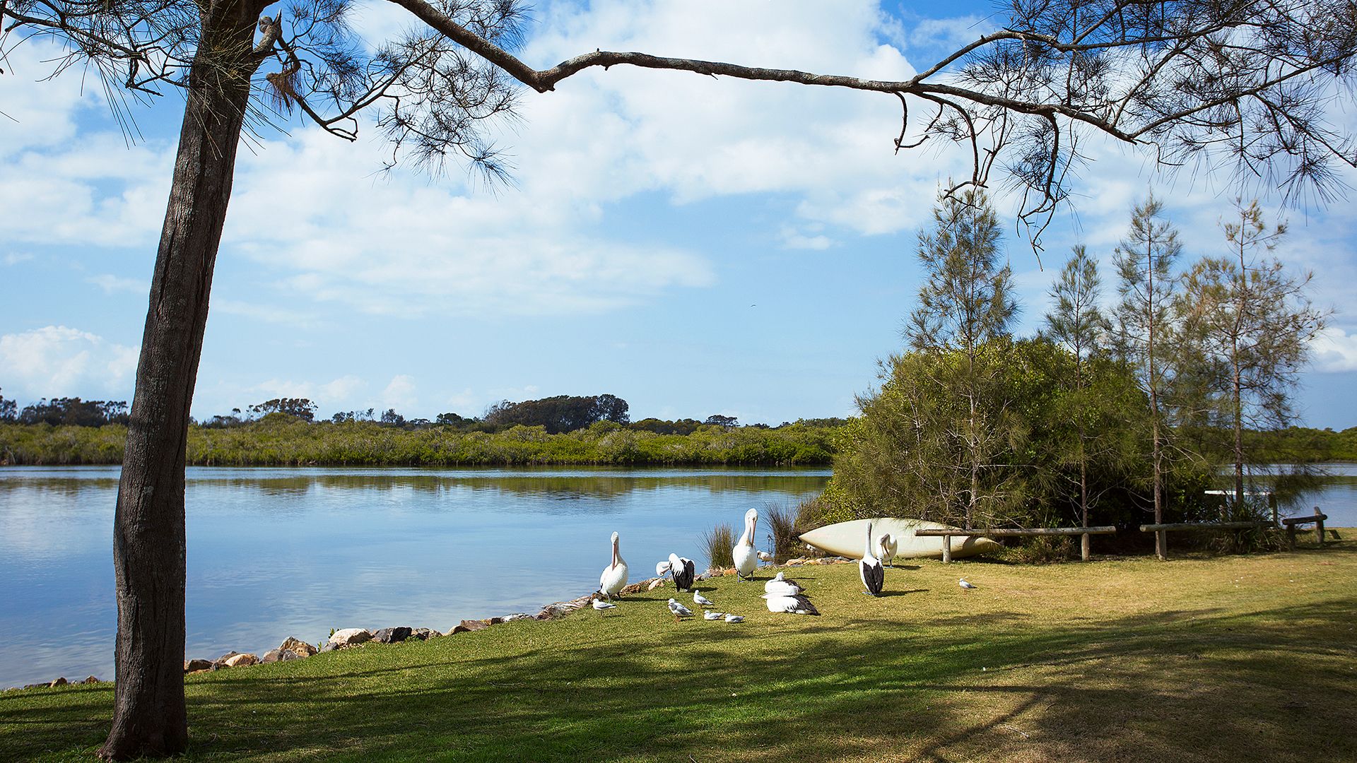 View from property