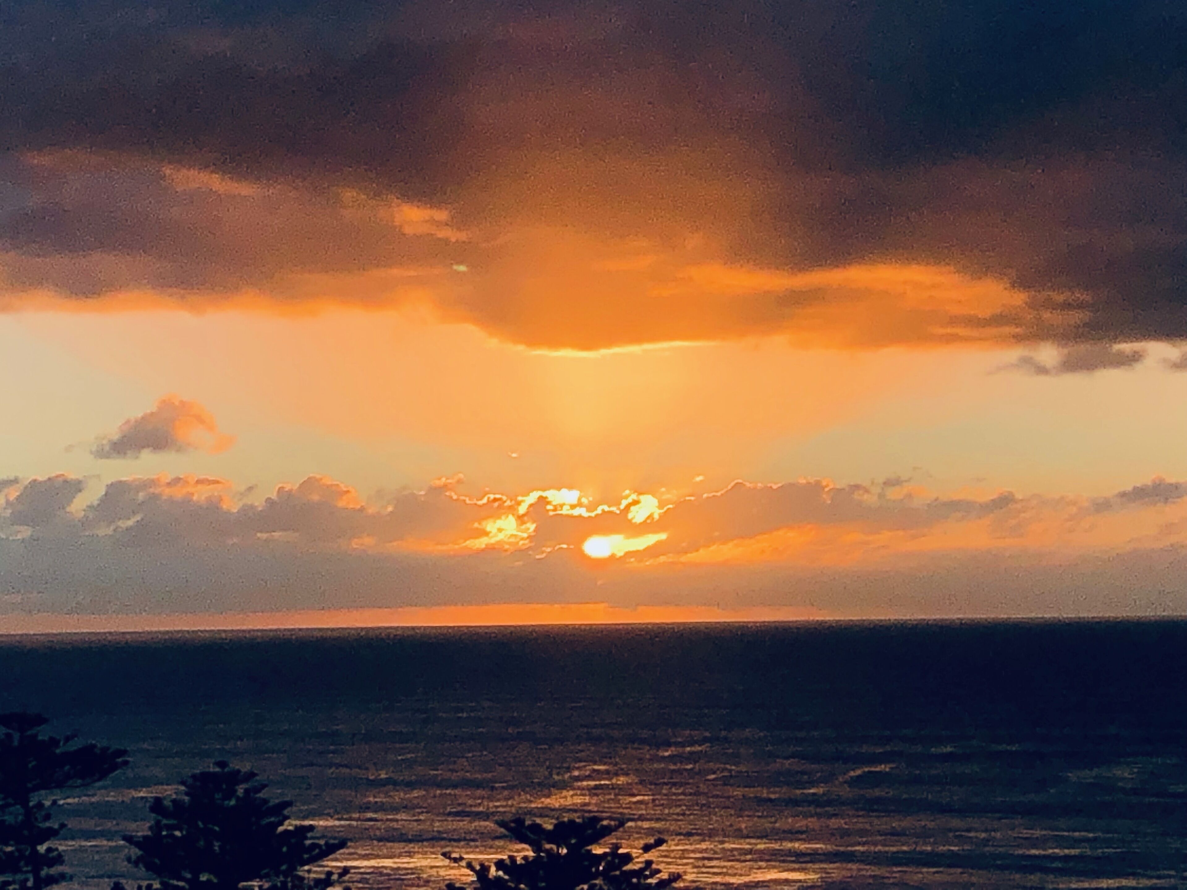 Manly Beach Panorama — image 25