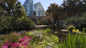 Een tuin met een vijver, verschillende bloemen en een modern gebouw met een glazen gevel op de achtergrond.