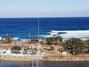 A coastal area with a large circular structure, possibly a clock or monument, surrounded by trees and a paved walkway.